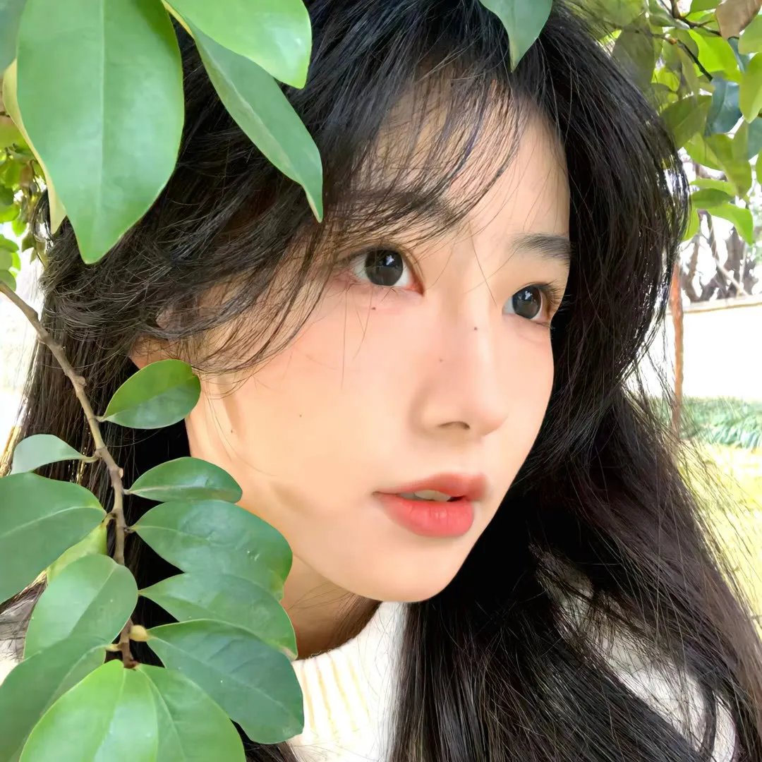 一切安好第二季